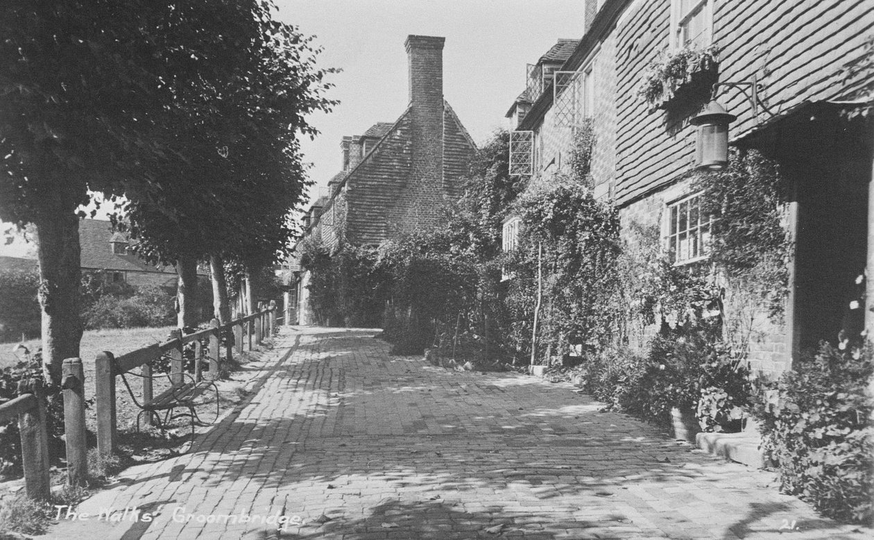 The Walks, Groombridge av English Photographer