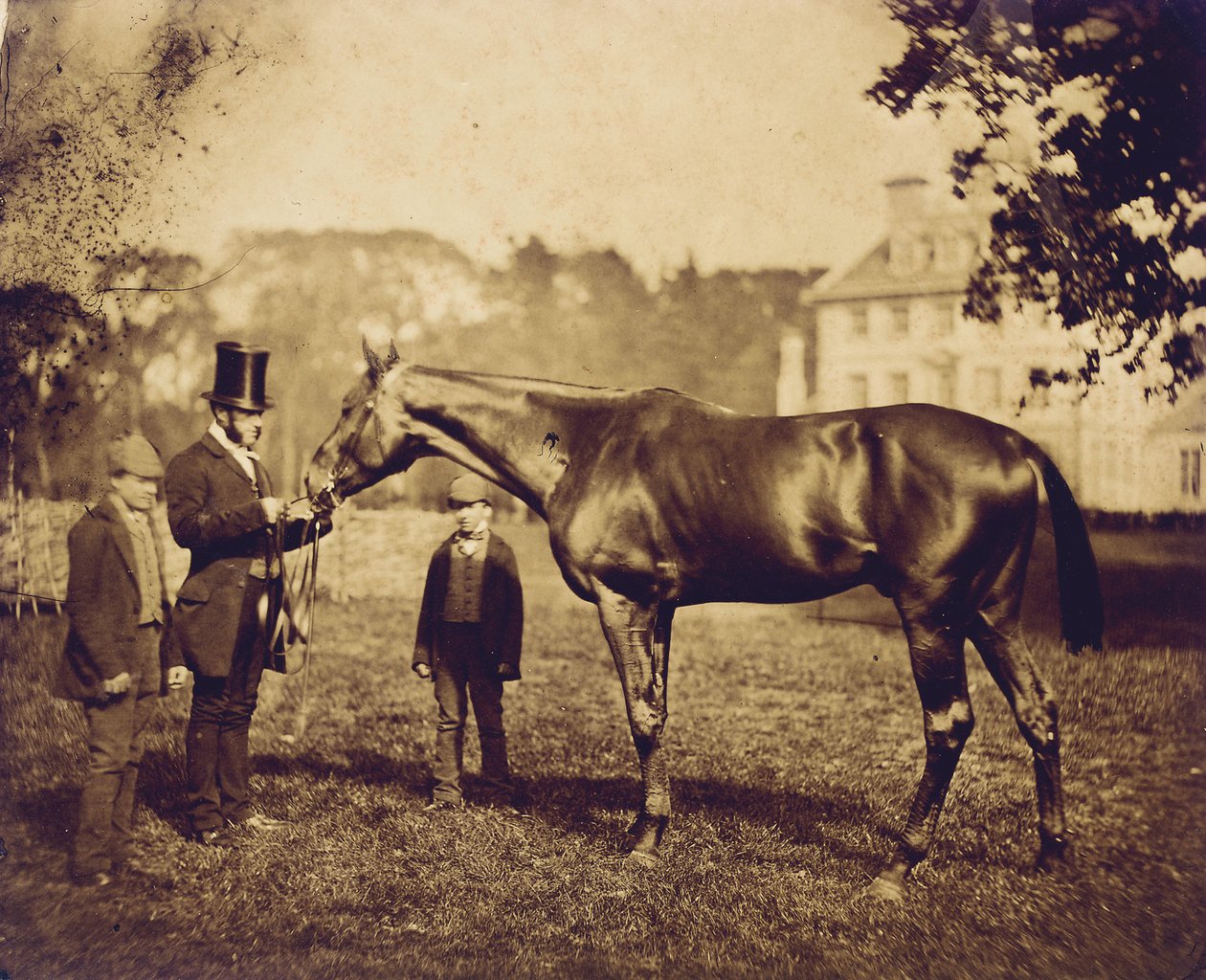Wild Dayrell, vinner av Derbyet i 1856 av English Photographer