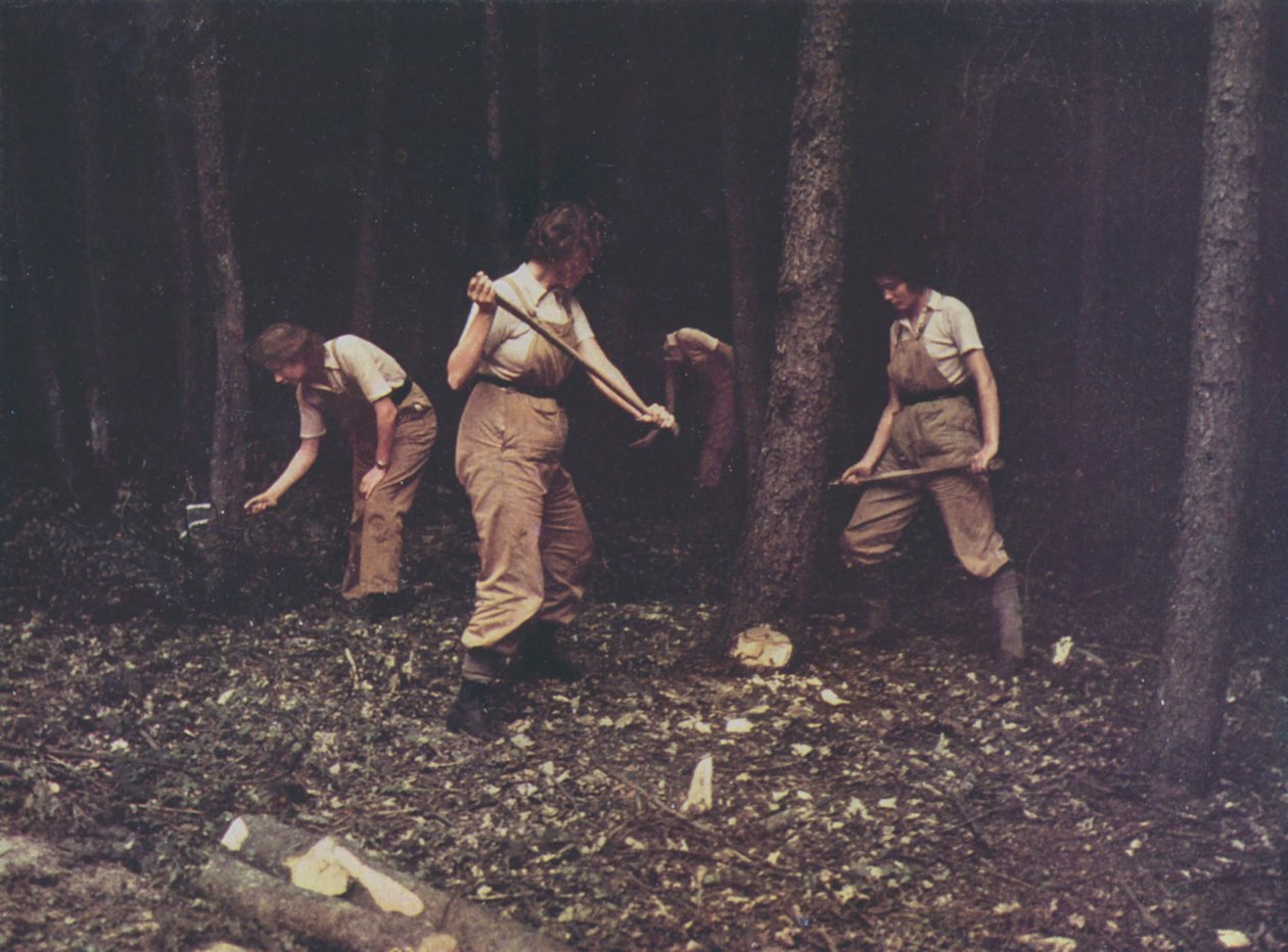 Kvinnelige arbeidere i British Timber Corps feller trær, andre verdenskrig (fargefoto) av English Photographer