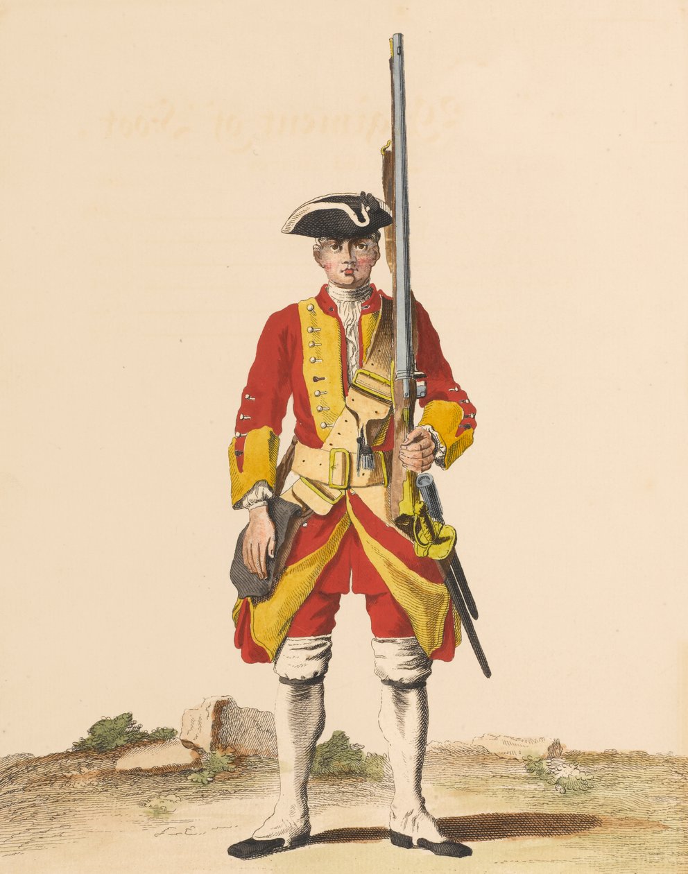 29. fotregiment, 1742 ca av English School