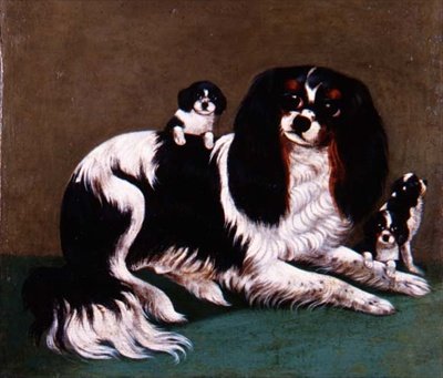 En King Charles Spaniel-familie, Provincial School av English School