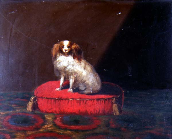 En King Charles Spaniel på en rød pute, Provincial School av English School