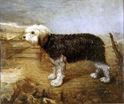 En fårehund, Fields Beyond av English School