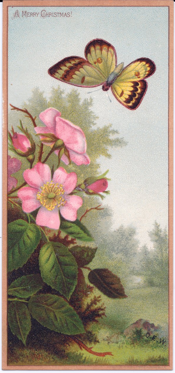 Et viktoriansk julekort som viser en sommerfugl og en busk med hunderoser, ca. 1880 av English School