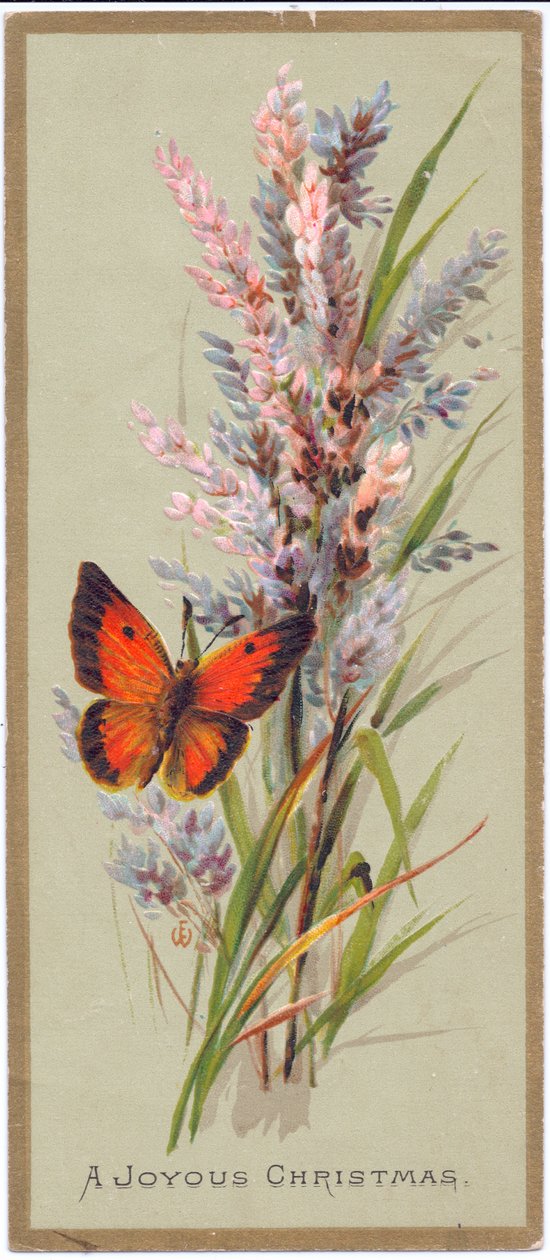 Et viktoriansk julekort av en sommerfugl blant høyt gress, ca. 1880 av English School