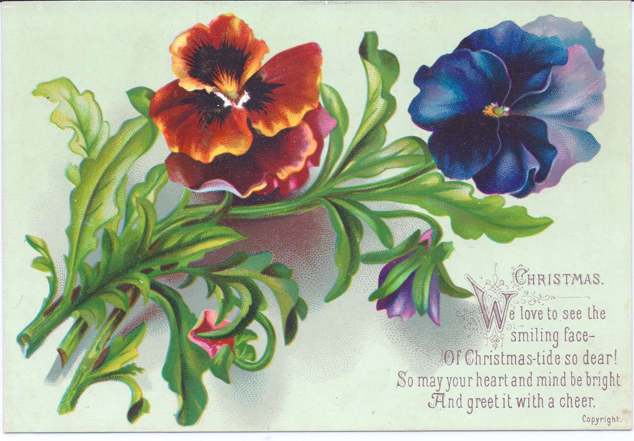 Et viktoriansk julekort av en spray på stemorsblomster, ca. 1880 av English School