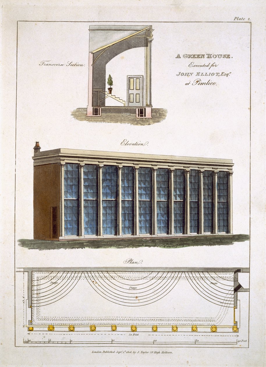 Et drivhus for John Elliott i Pimlico, London, 1806 av English School