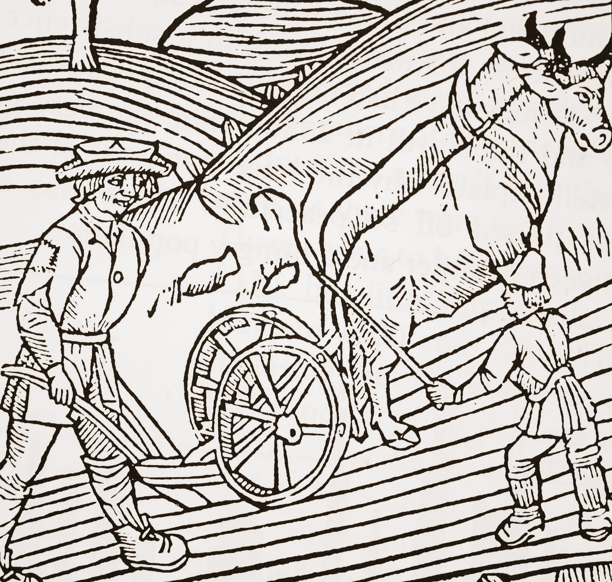 Et par okser festet til en plog, tittelblad fra John Fitzherberts Boke of Husbandry, første pub. 1523 av English School