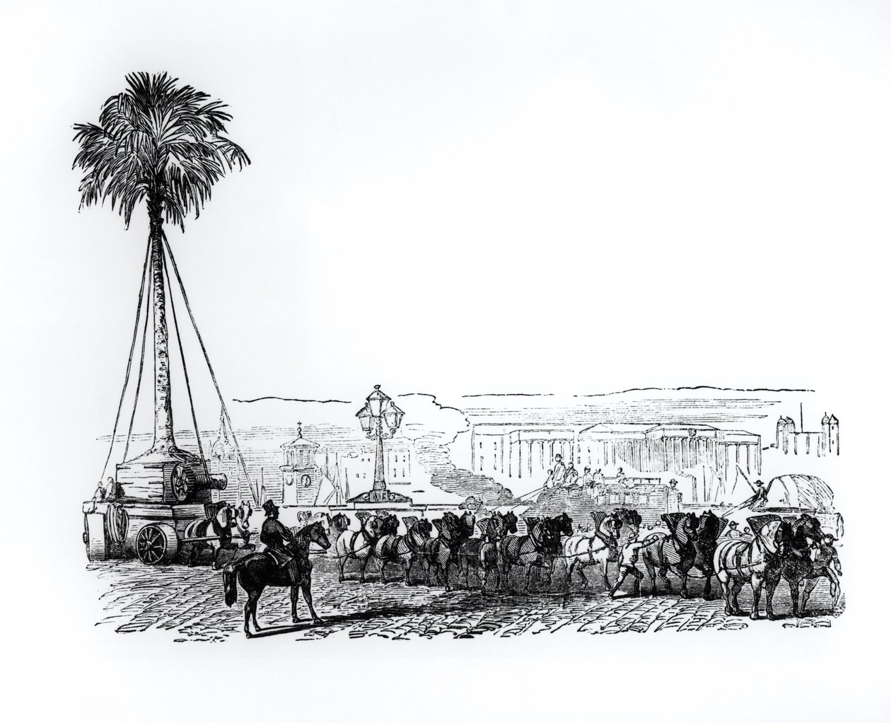 Et palmetre blir fraktet til Hyde Park for den store utstillingen, London, 1851 av English School