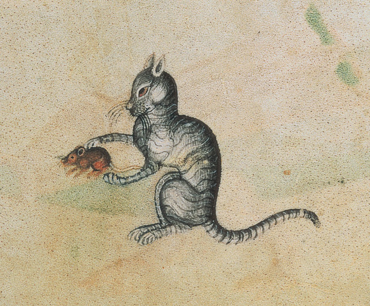 Legg til 42130 f.190 En huskatt som leker med en mus, fra Luttrell Psalter, startet før 1340 for Sir Geoffrey Luttrell (1276-1345) (detalj av 55684) av English School
