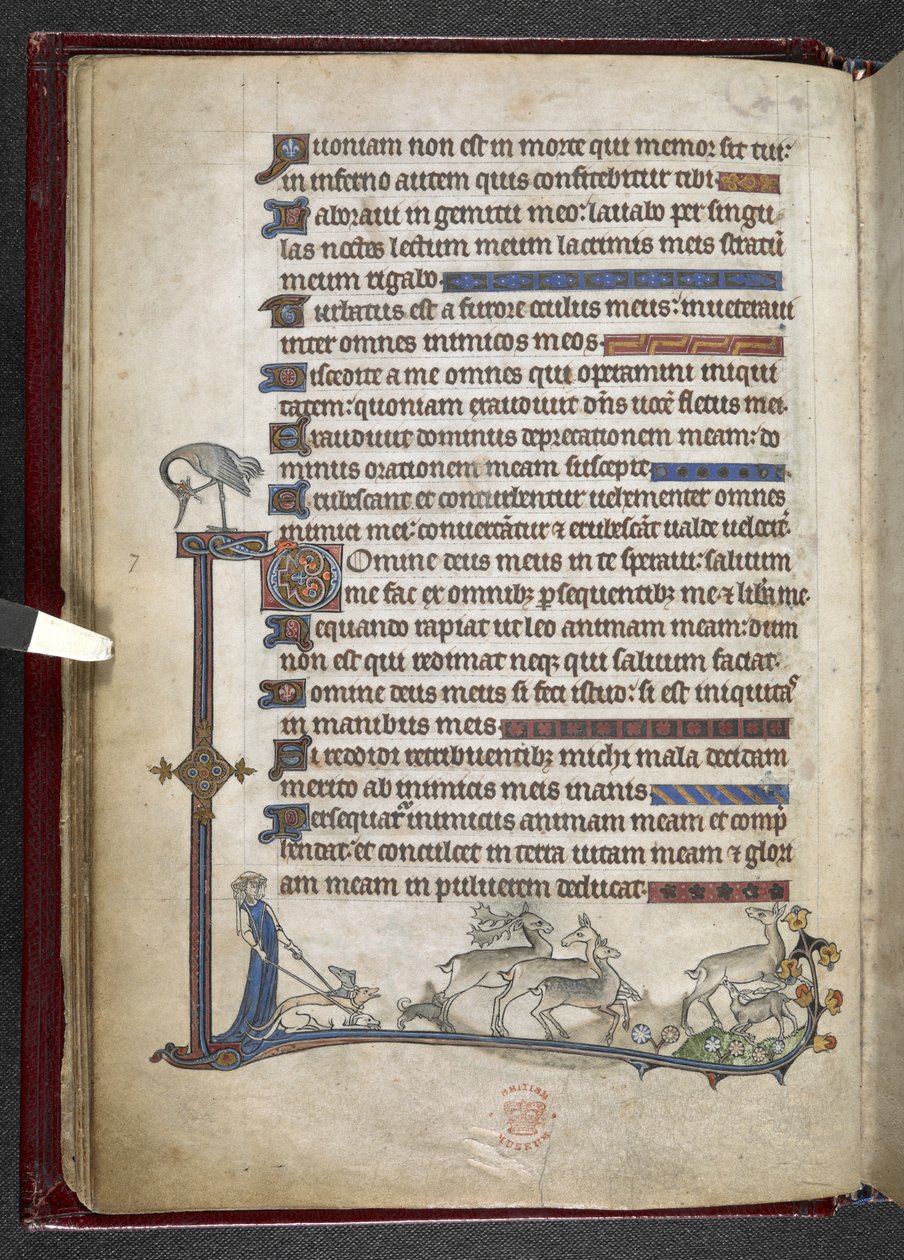 Legg til MS 24686, f.13v Salme med marginal forlengelse som danner delvis kant, ca. 1284-1316 (vellum) av English School