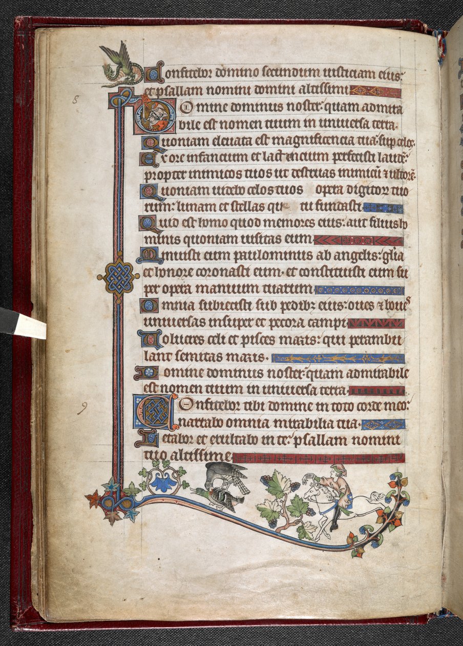 Legg til MS 24686, f.14v, Gutt på ponni med falkjaktende and, ca. 1284-1316 (vellum) av English School