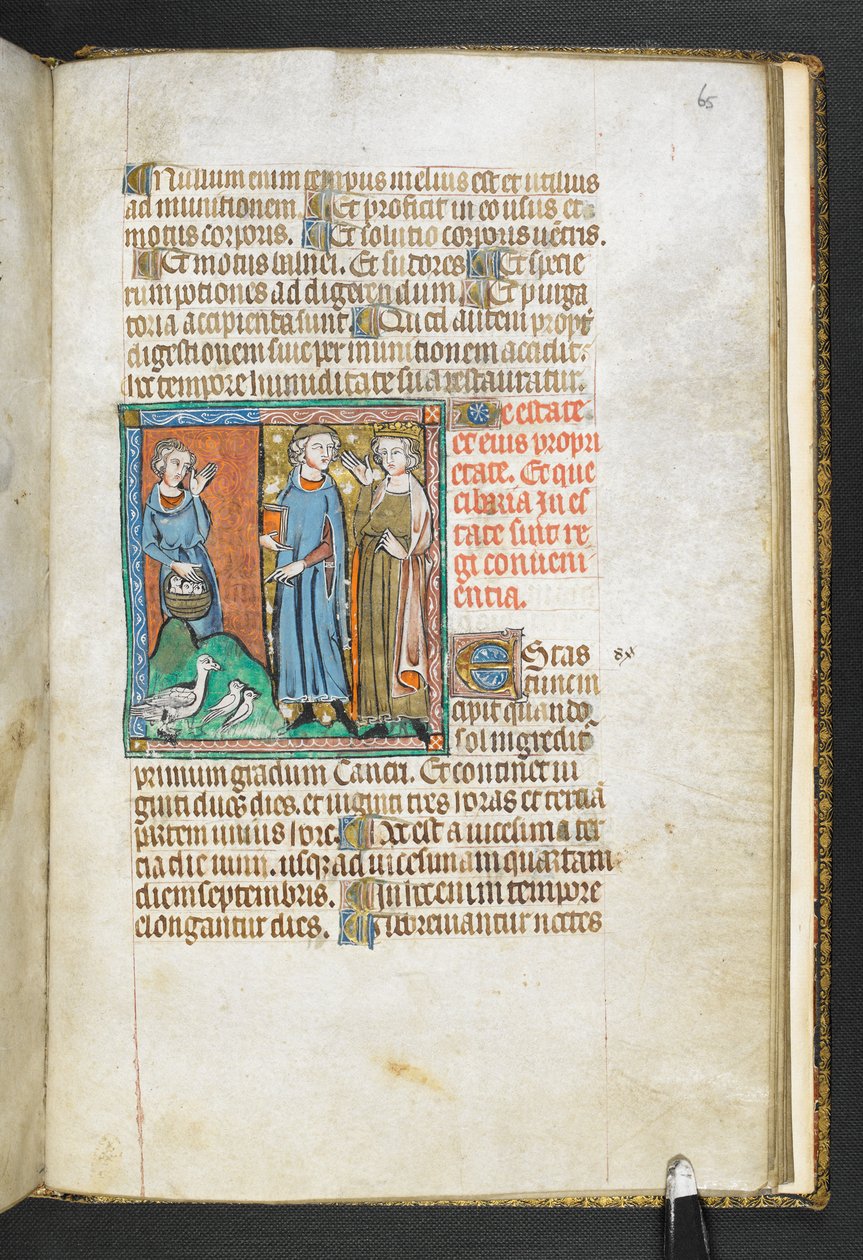 Legg til MS 47680, f.65r Aristoteles peker på fugler brakt til kongen, fra Secretum Secretorum, ca. 1326-27 (vellum) av English School