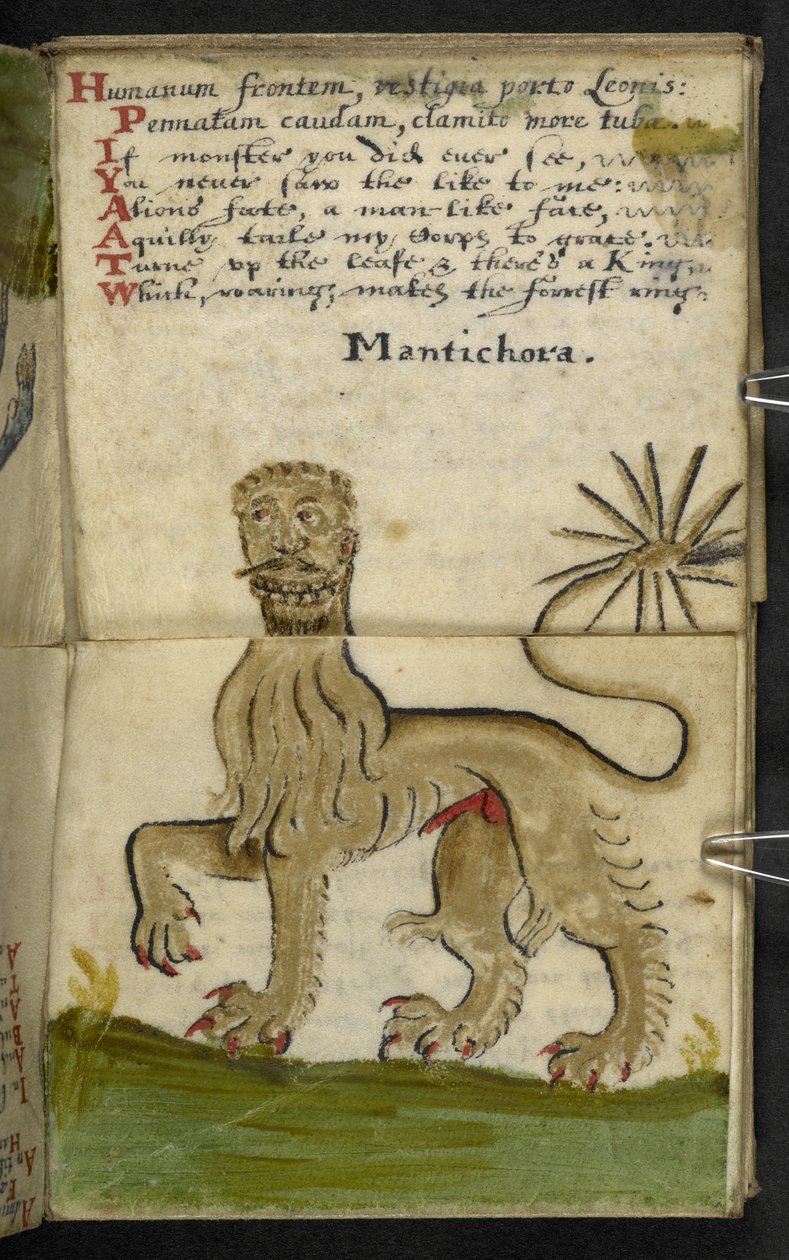 Legg til MS 57312 f11 spillbok (blekk og farge på pergament) av English School