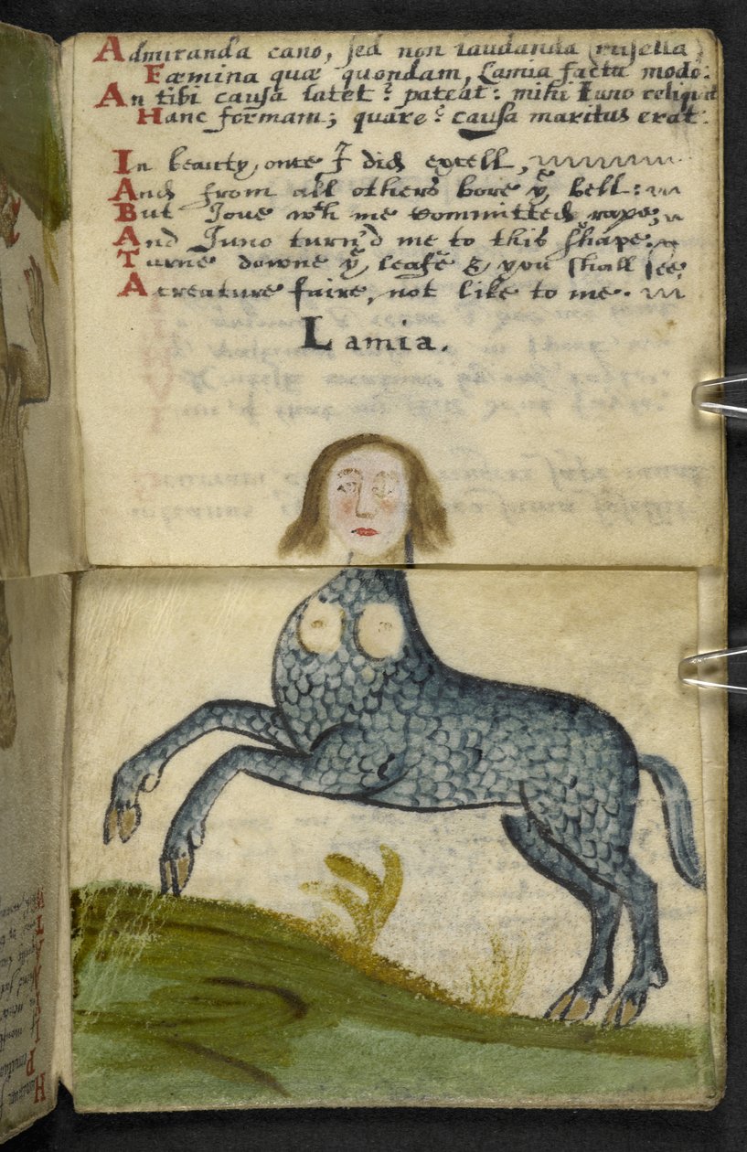 Legg til MS 57312 f13 spillbok (blekk og farge på pergament) av English School