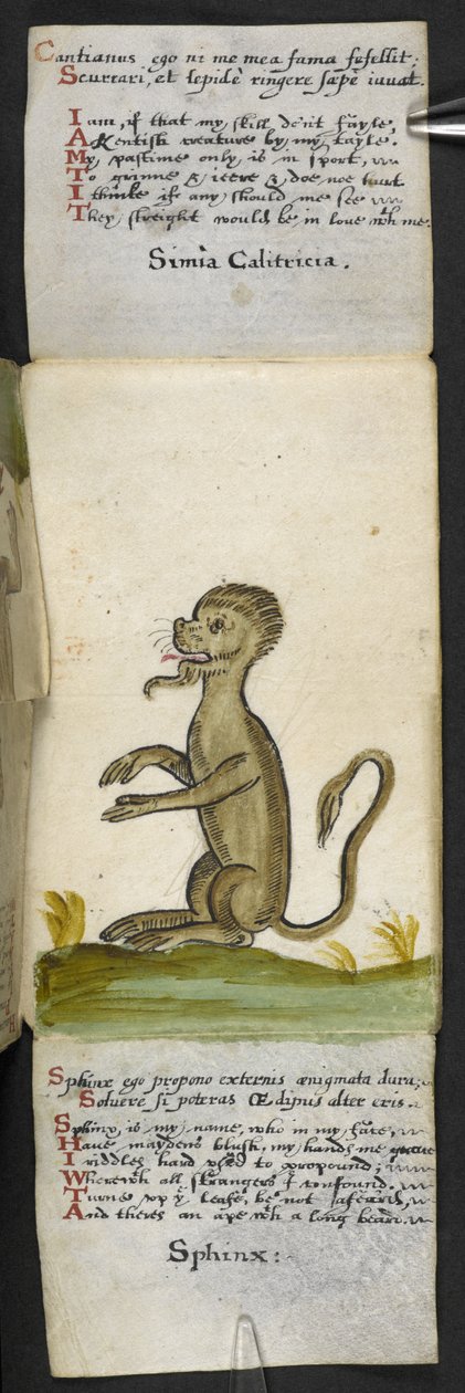 Legg til MS 57312 f.14 spillbok (blekk og farge på vellum) av English School