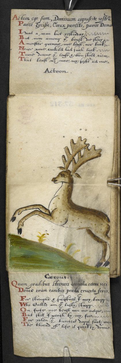Legg til MS 57312 f.15 spillbok (blekk og farge på vellum) av English School