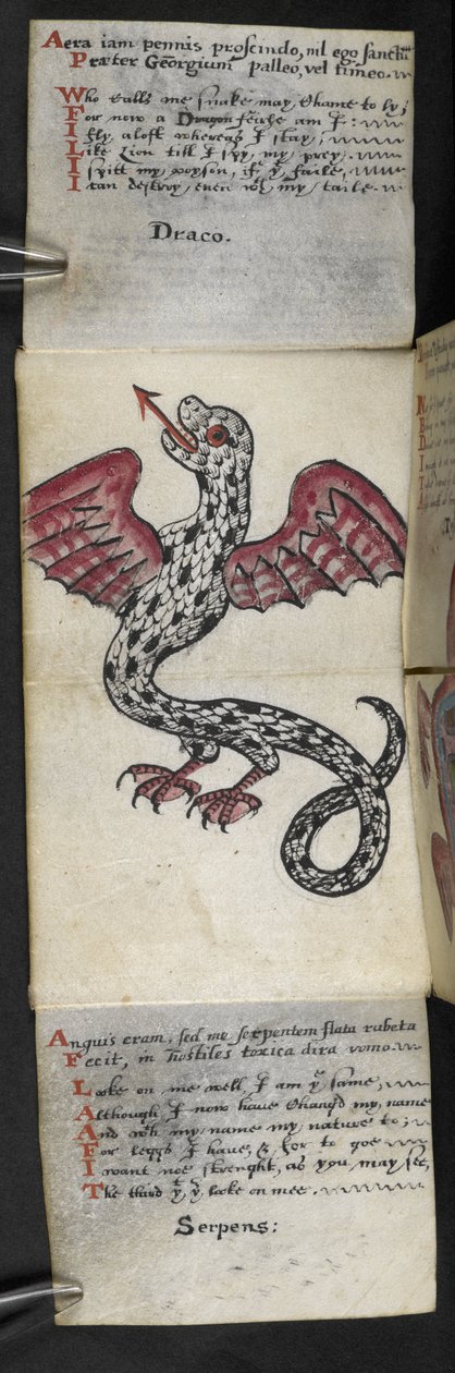 Legg til MS 57312 f.3 spillbok (blekk og farge på pergament) av English School