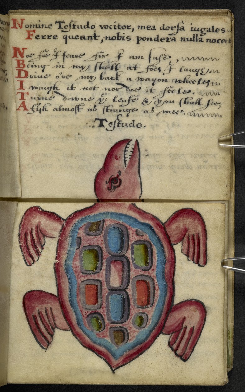 Legg til MS 57312 f.5 spillbok (blekk og farge på vellum) av English School