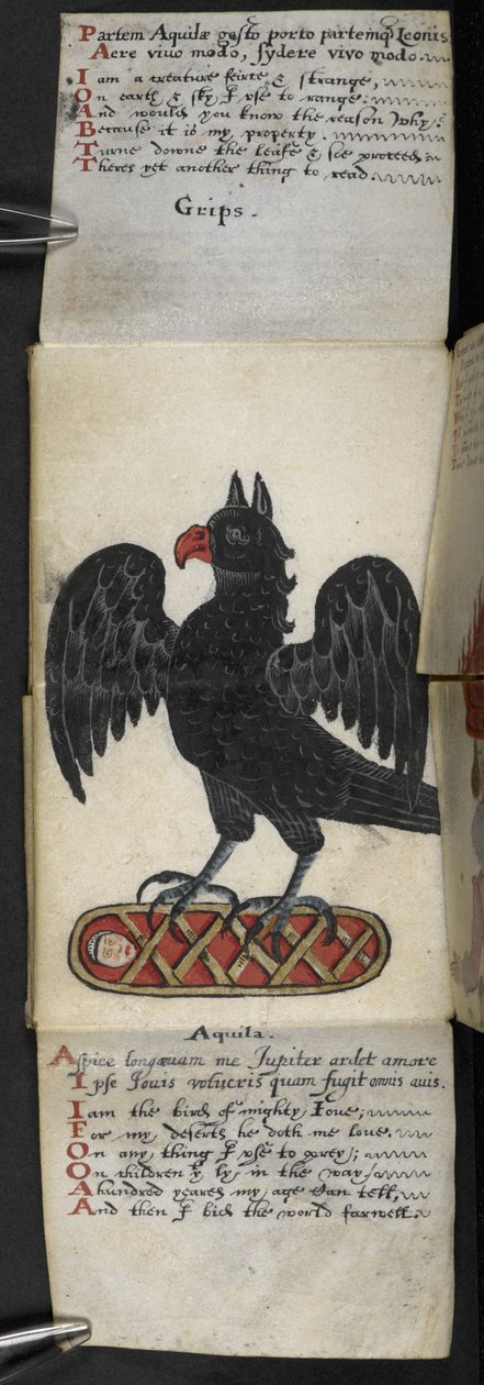 Legg til MS 57312 f.8 spillbok (blekk og farge på pergament) av English School