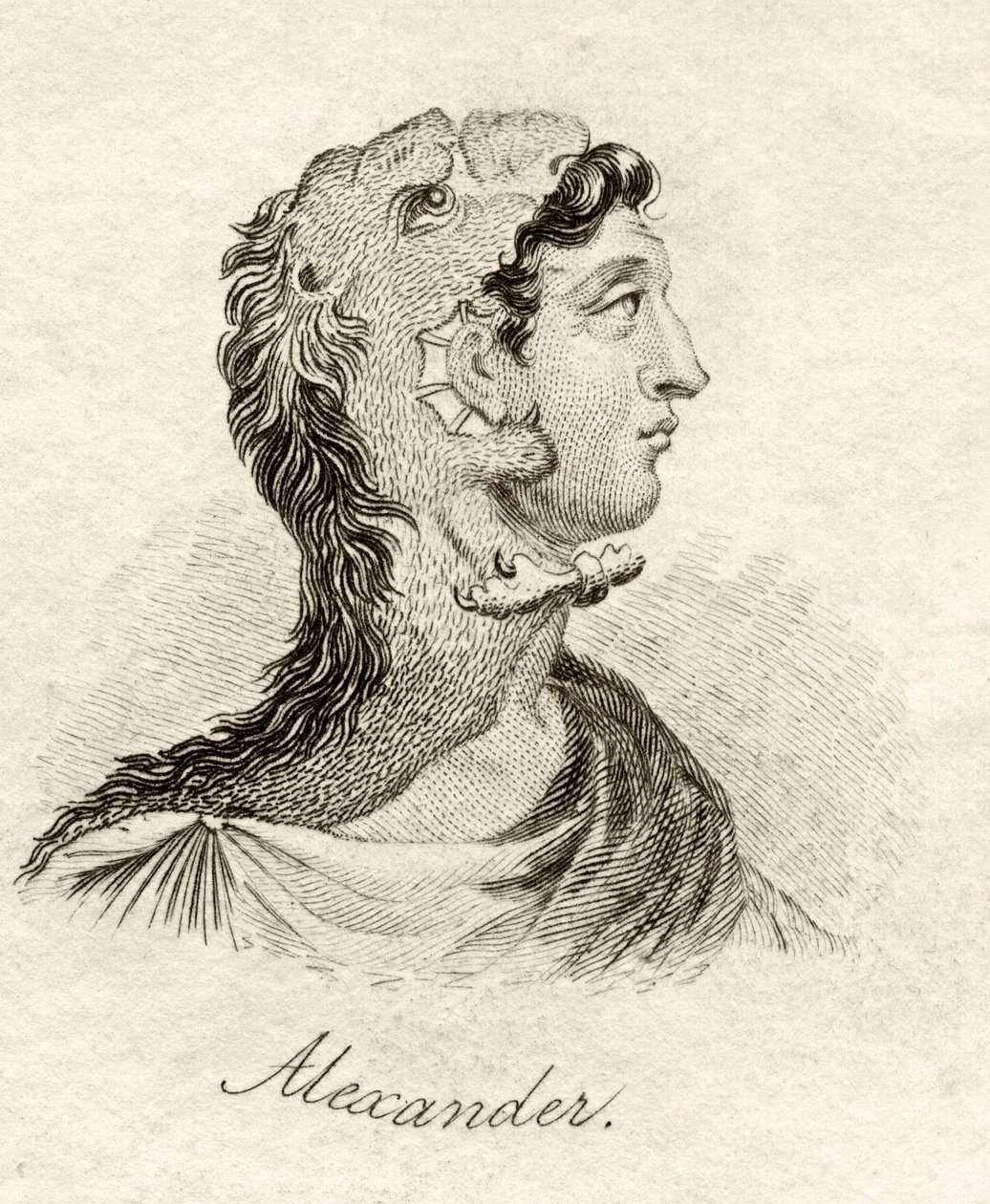 Alexander den store, fra 