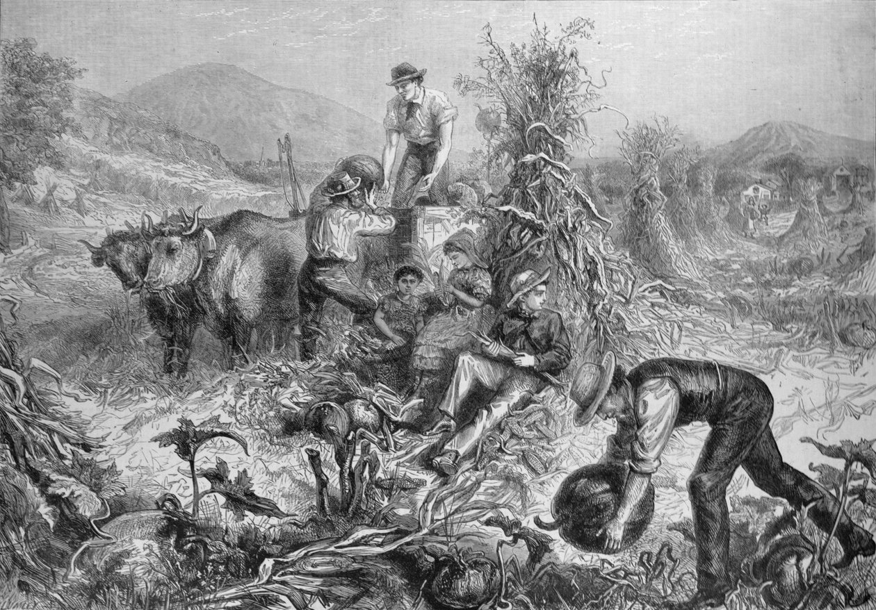 American Husbandry: Gathering Pumpkins and Husking Maize, fra 