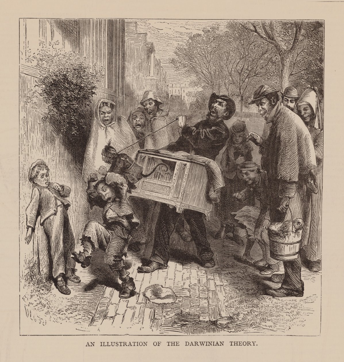 En illustrasjon av den darwinistiske teorien (gravering) av English School