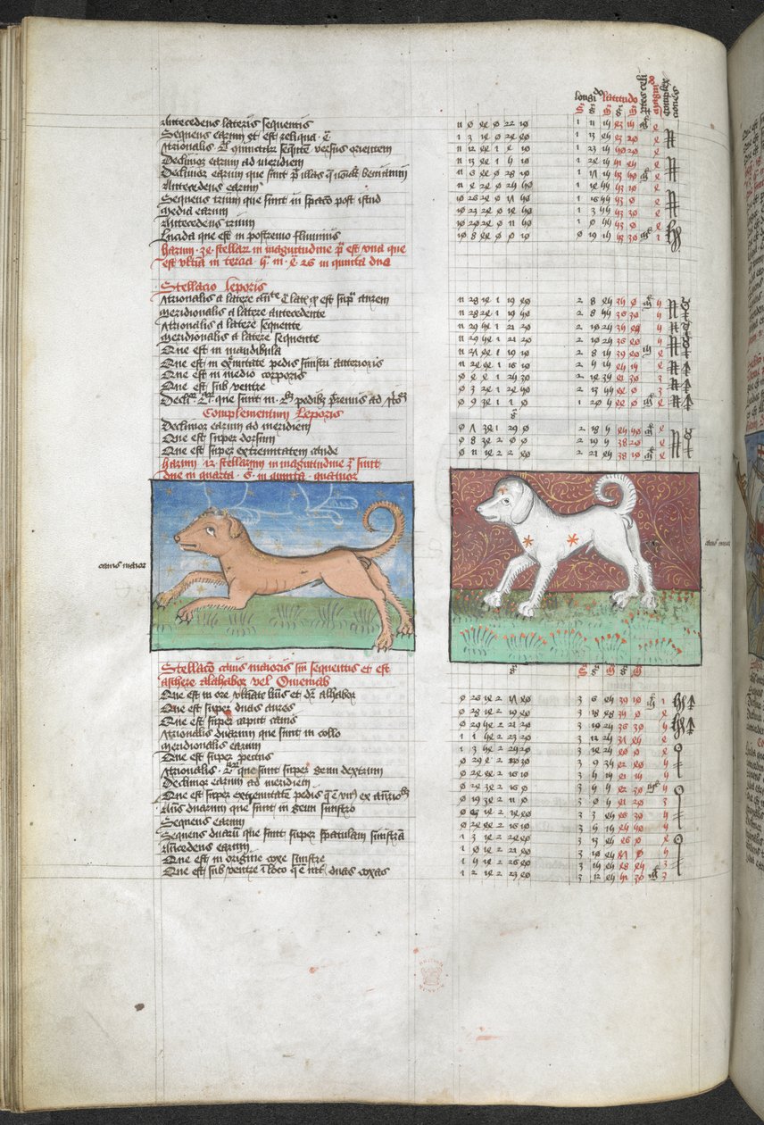 Arundel MS 66 f.44v Canis maior og Canis minor avbildet som hunder 