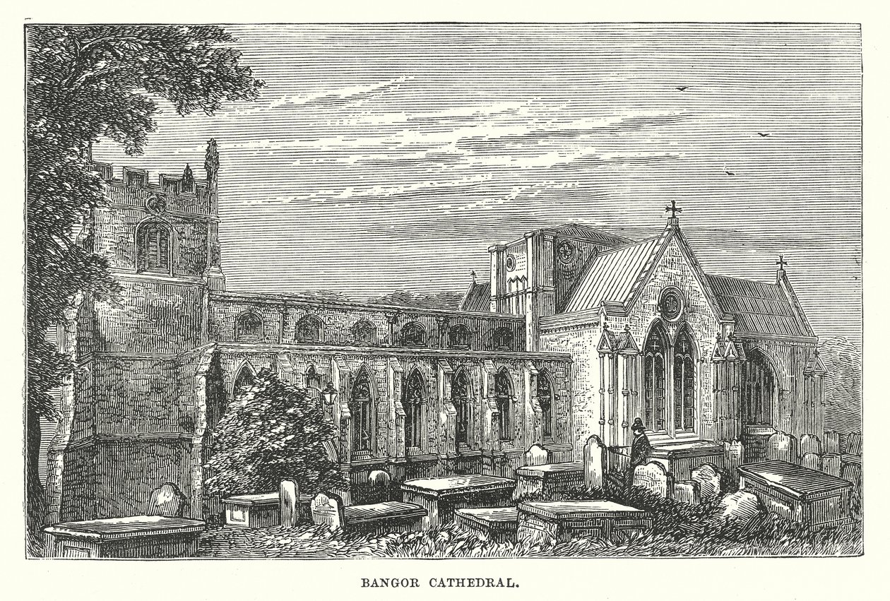 Bangor-katedralen (gravering) av English School