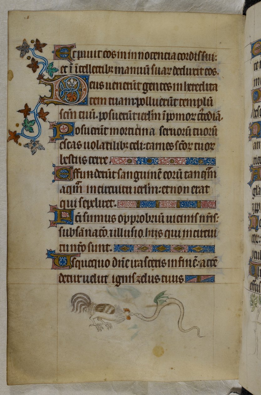 Bas-de-page scene av en hane og en bevinget slange som kjemper, med en dekorert initial 'D'(eus), Psalter ('The Queen Mary Psalter'), Royal MS 2 B VII, f.187v, ca.1310- 20 (vellum) av English School