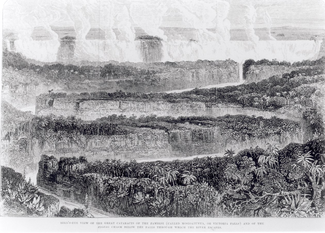 Fugleperspektiv av de store grå stærene i Zambesi (Victoria Falls) fra fortelling om en utstilling til Zambesi og dens sideelver, utgitt 1865 av English School