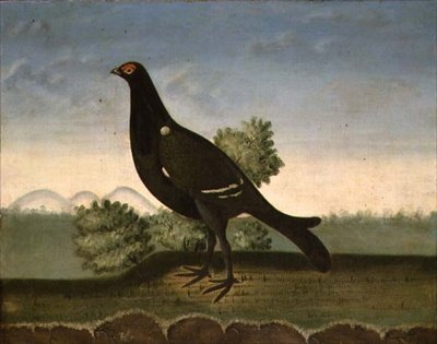 Black Grouse (olje på lerret) av English School