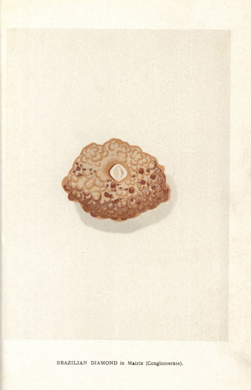 Brasiliansk diamant i matrise (konglomerat), fra Edwin Streeters "Precious Stones and Gems," London, George Bell & Sons av English School