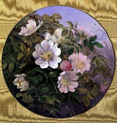 Briar Roses, ca. 1890 (akvarell på papir) av English School