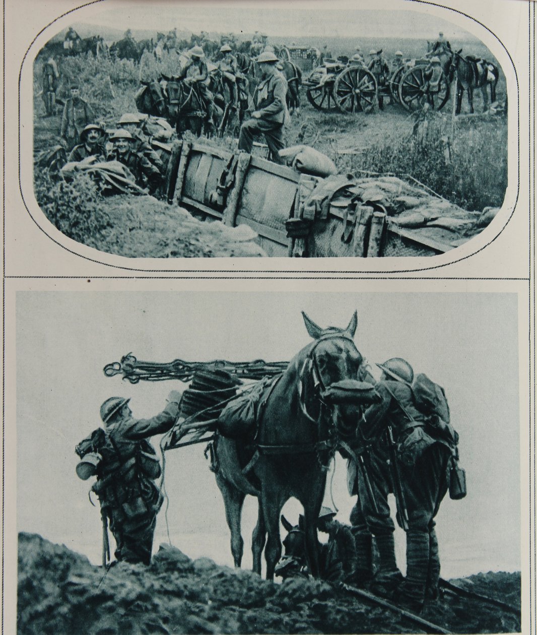 Britiske skyttere med pakkehester, Flandern, august 1917 av English School