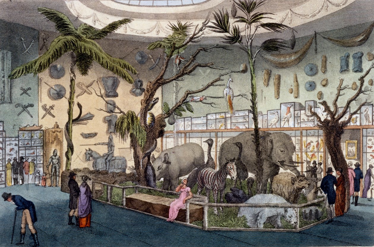 Bullocks Museum, 22 Piccadilly, London, fra Ackermanns Repository of Arts, 1809 av English School