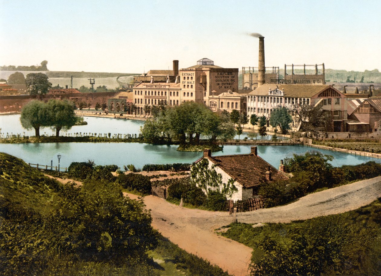 Burroughs, Wellcome & Company Factory, Dartford (håndfarget bilde) av English School
