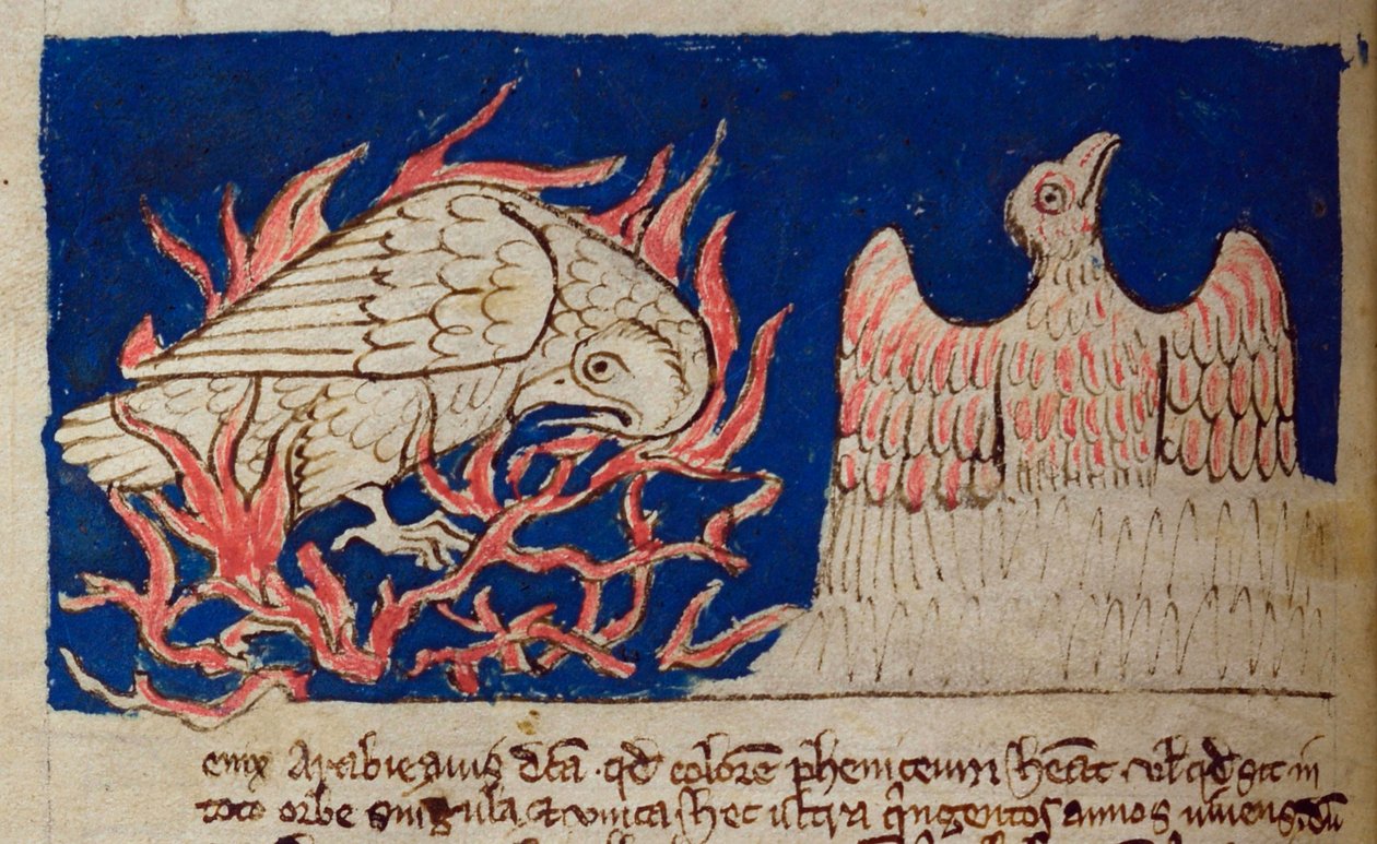 CCA-LitMs/D/10 fol. 17v Pheonix, fra Bestiary av English School
