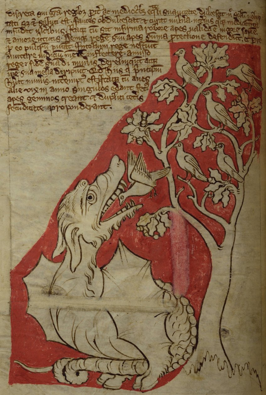 CCA-LitMs/D/10 fol. 23v The Perindens Tree, fra Bestiary av English School