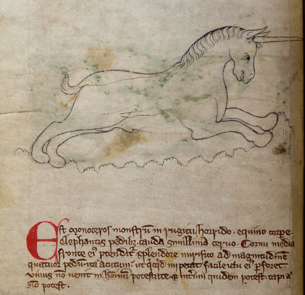 CCA-LitMs/D/10 fol. 2v Monoceros, fra Bestiary av English School