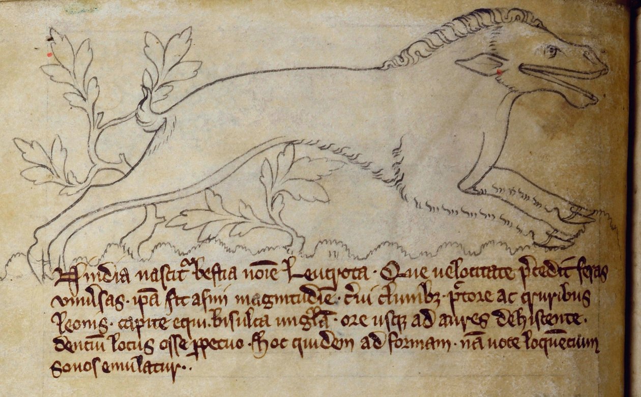 CCA-LitMs/D/10 fol. 3v Leucrota, fra Bestiary av English School