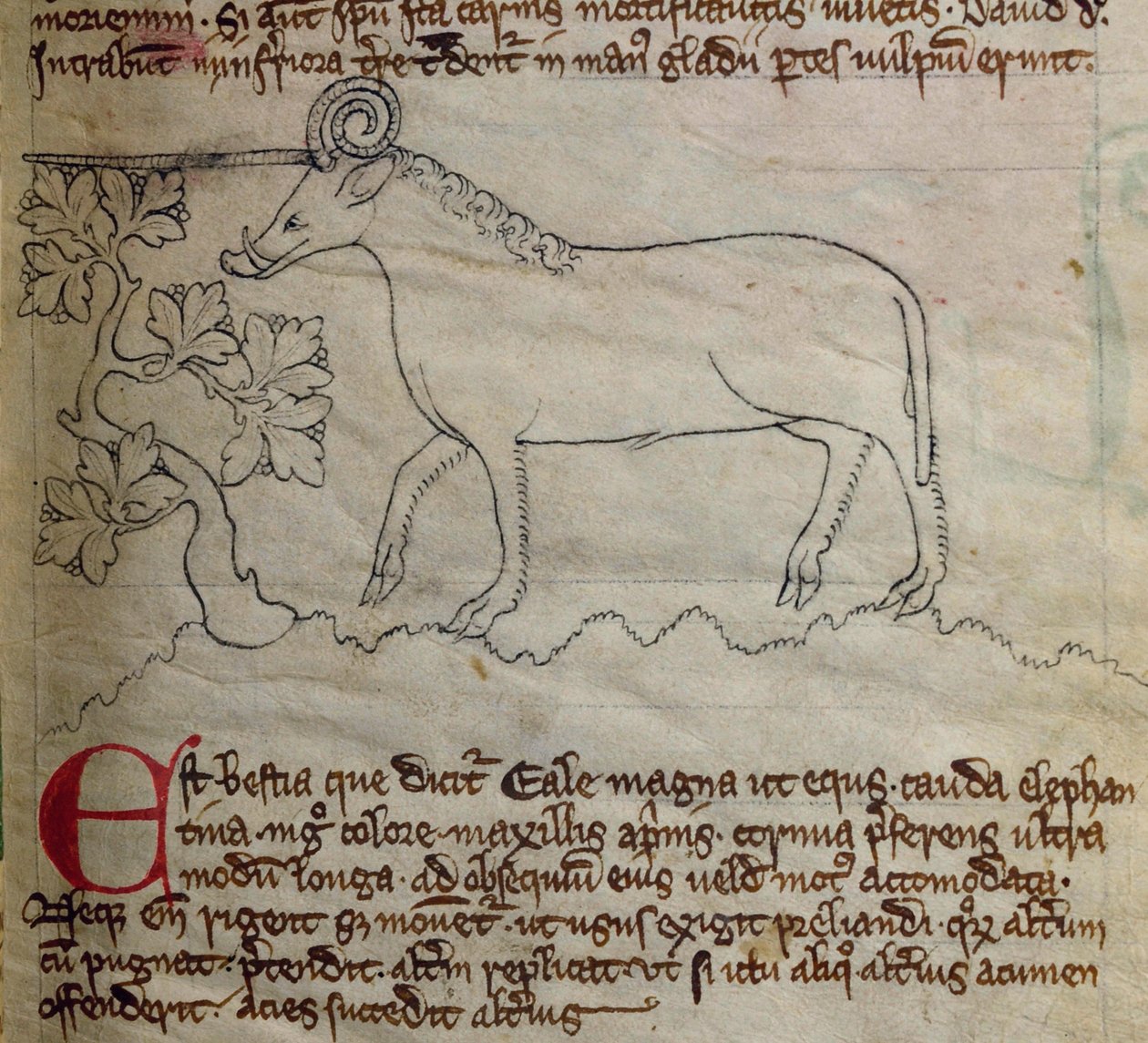 CCA-LitMs/D/10 fol. 4r Yale, fra Bestiary av English School