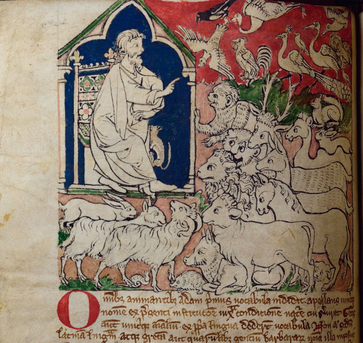 CCA-LitMs/D/10 fol. 7v Adam, fra Bestiary av English School