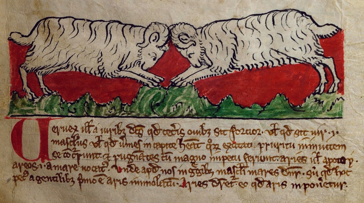 CCA-LitMs/D/10 fol. 8r Wether, fra Bestiary av English School
