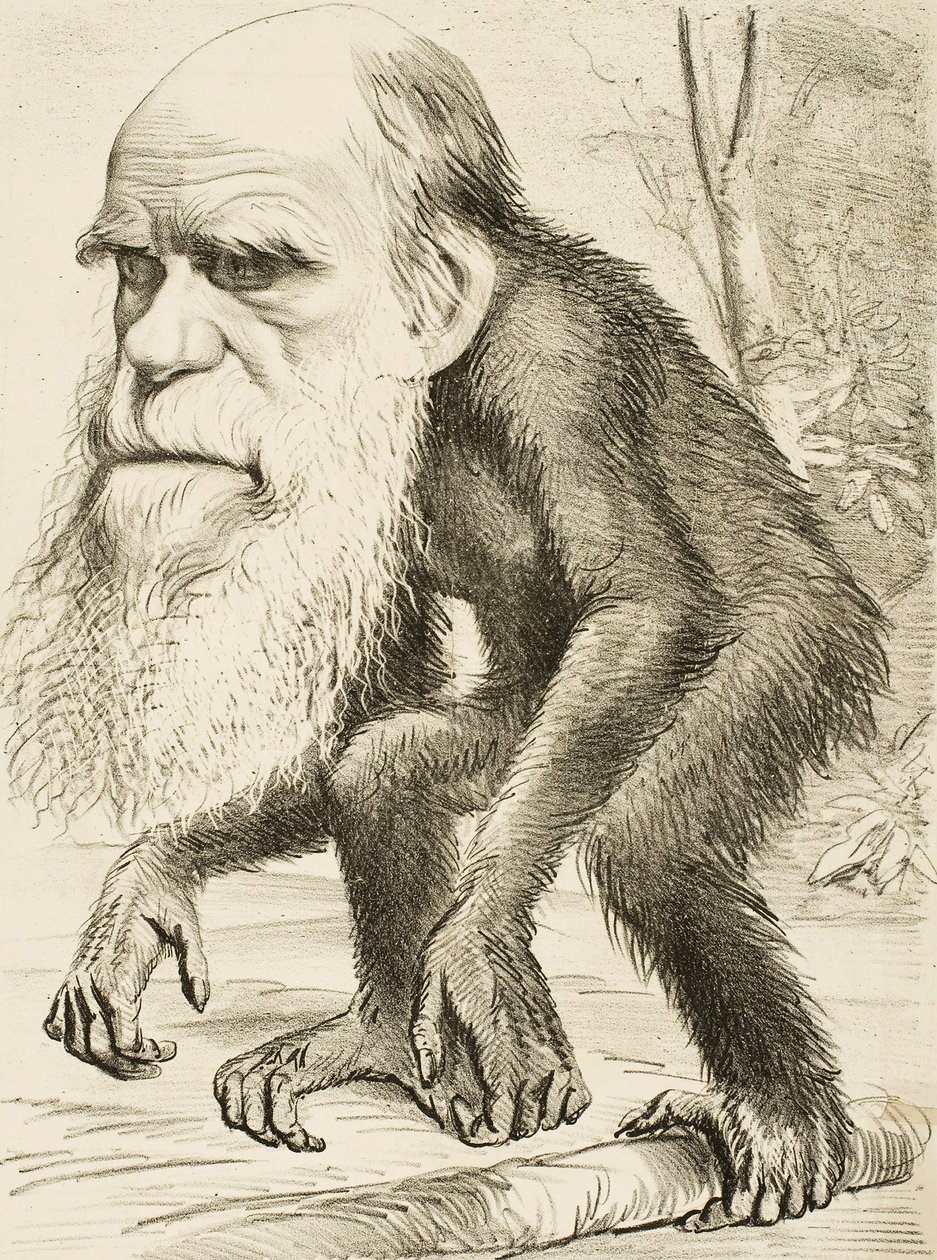 Karikatur av Charles Darwin av English School