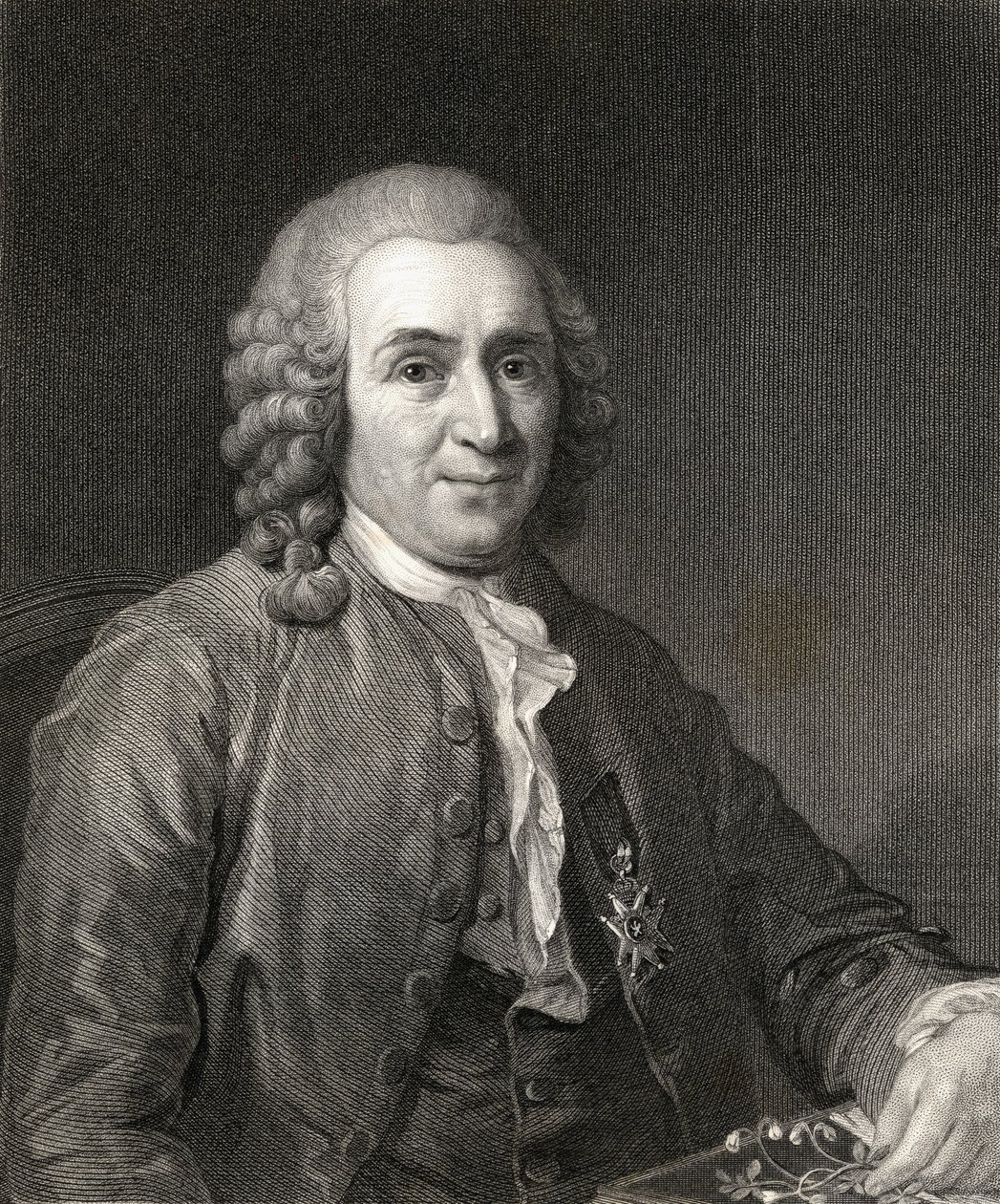 Carl von Linne eller Linnaeus (1707-78) fra Gallery of Portraits, utgitt i 1833 av English School