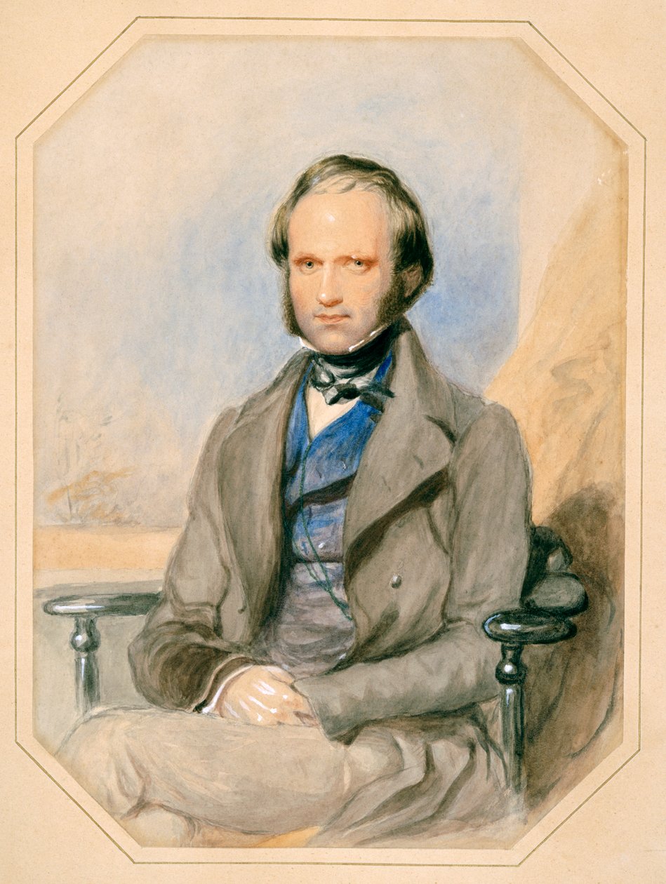 Charles Darwin (akvarell på papir) av English School