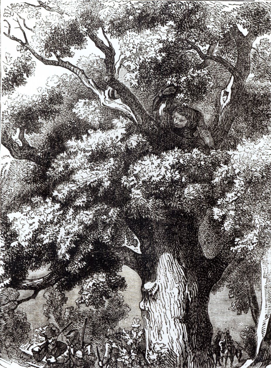 Charles II (1630-85) Skjult i eiketreet, 14. oktober 1651 av English School