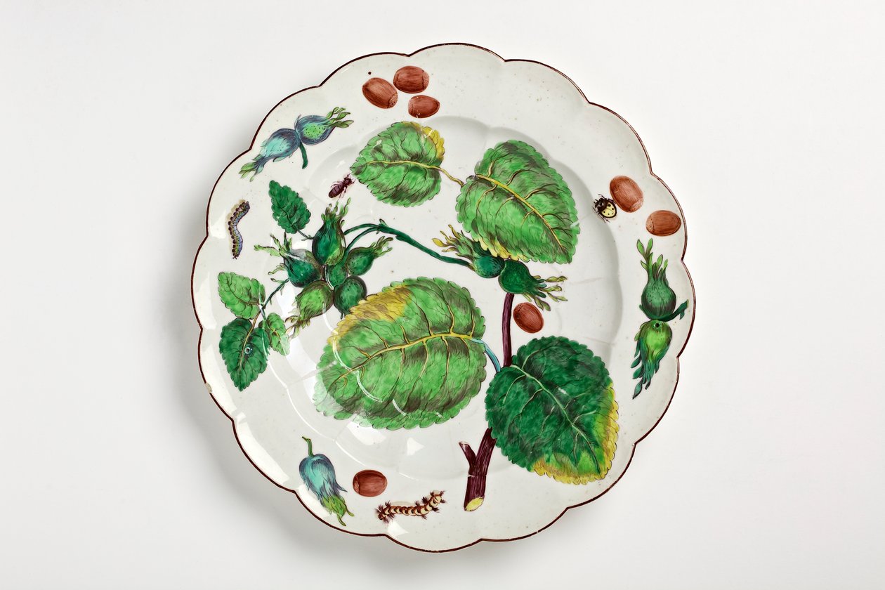 Chelsea tallerken dekorert med botanisk illustrasjon av nøtter, insekter og blader, 1755 (porselen) av English School