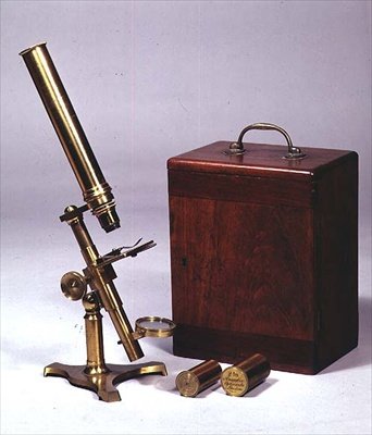 Sammensatt monokulært mikroskop, laget av Amadio Optician, London, ca. 1860 (messing og skjellakk) av English School